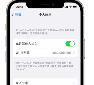 鹤山apple服务站点分享iPhone上个人热点丢失了怎么办