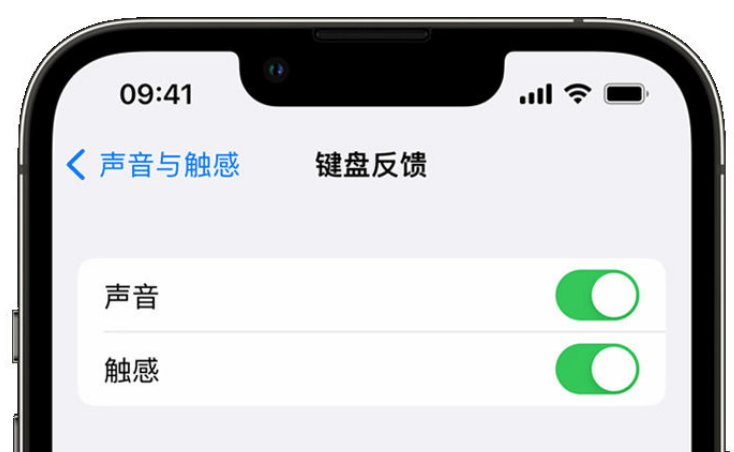 鹤山苹果手机维修分享iPhone 14触感键盘使用方法 