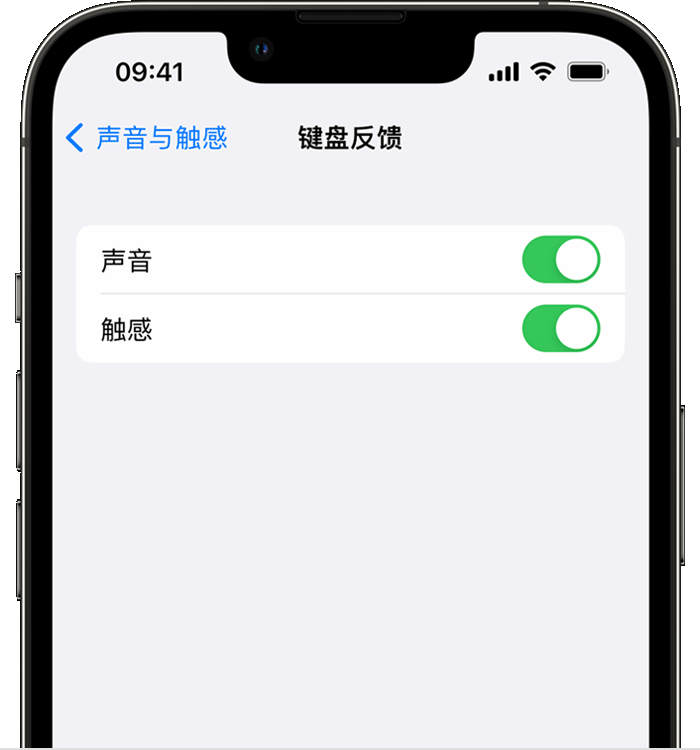 鹤山苹果14维修店分享如何在 iPhone 14 机型中使用触感键盘 