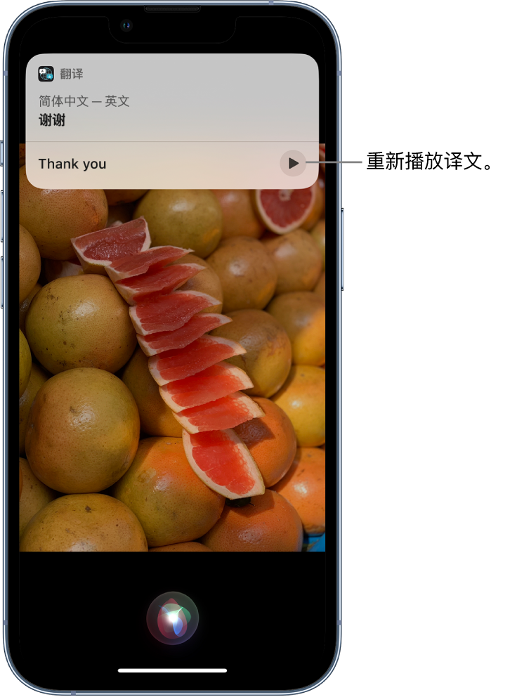 鹤山苹果14维修分享 iPhone 14 机型中使用 Siri：了解 Siri 能帮你做什么 