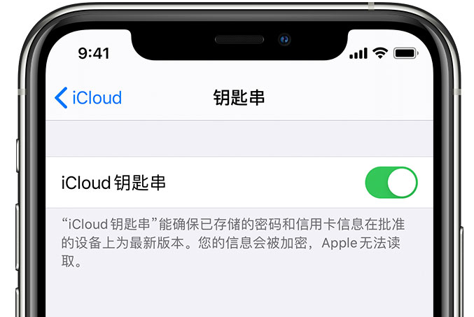 鹤山苹果手机维修分享在 iPhone 上开启 iCloud 钥匙串之后会储存哪些信息 